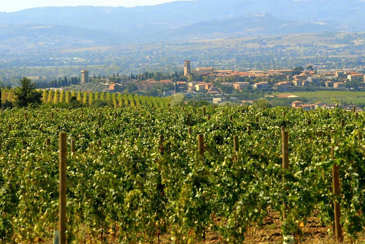 Agriturismo Wine Casale Villa Chiara Torgiano Εξωτερικό φωτογραφία