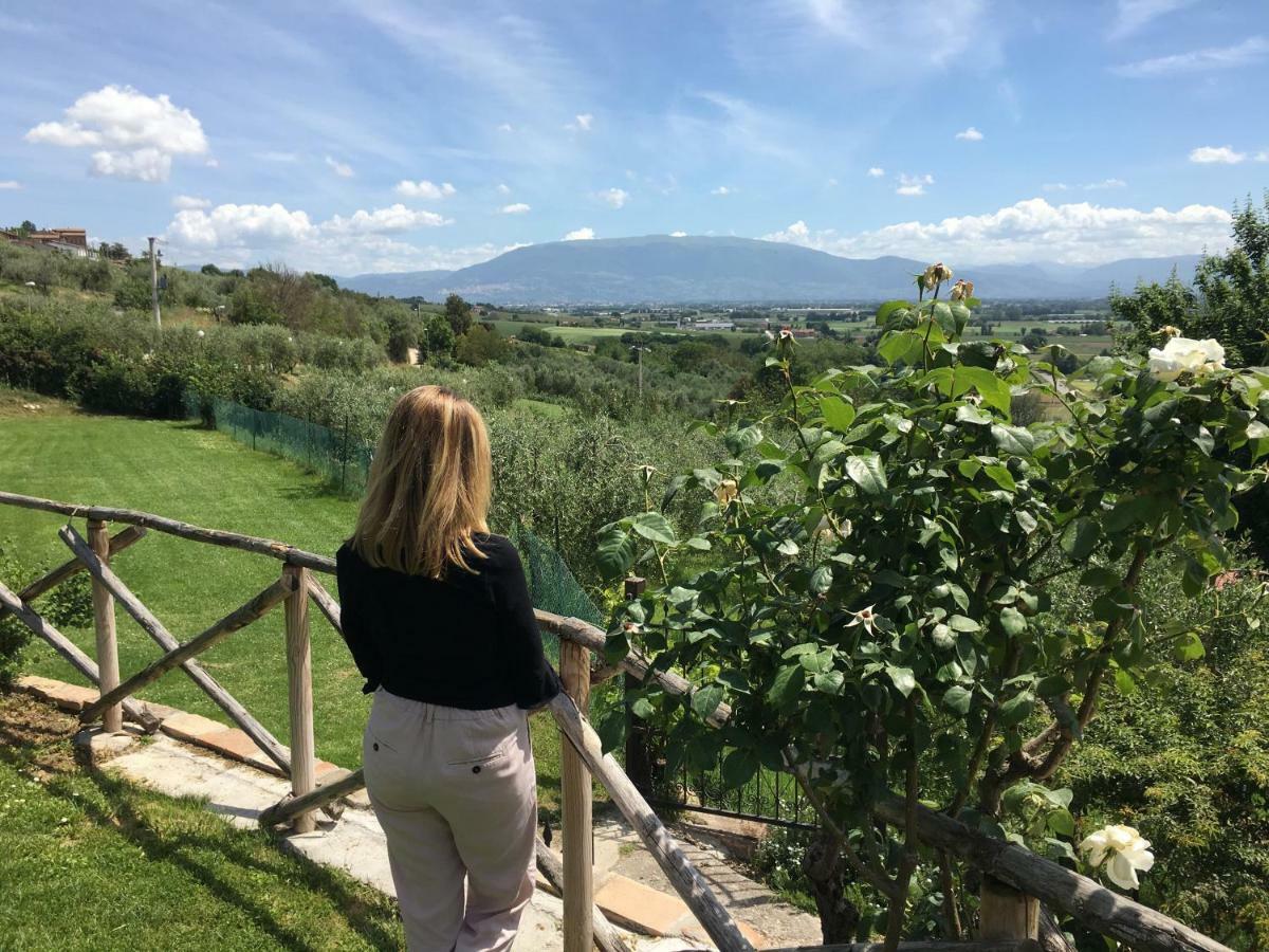Agriturismo Wine Casale Villa Chiara Torgiano Εξωτερικό φωτογραφία